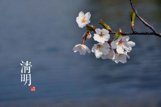 清明是什么時(shí)候?二十四節(jié)氣之清明的由來與含義