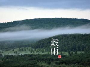 谷雨是什么時候？二十四節氣之谷雨的由來與含義