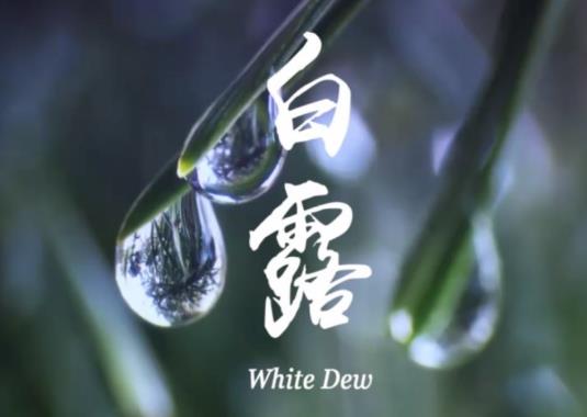2021年白露過(guò)后天氣還熱不熱?白露后天氣多少度?