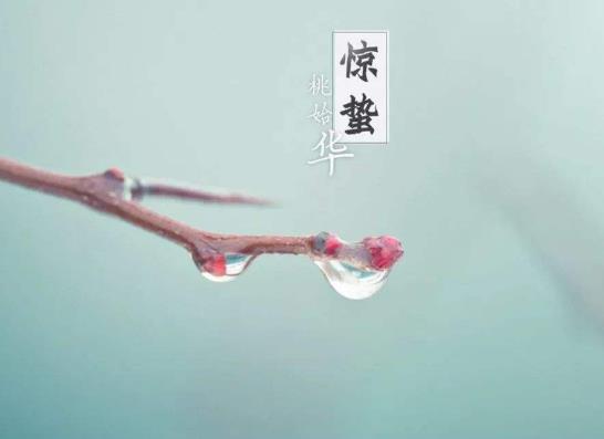 驚蟄刮北風不好嗎?驚蟄哪三樣東西要扔掉