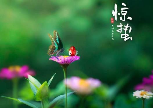 驚蟄刮北風(fēng)代表什么?為什么驚蟄有人扔咸菜