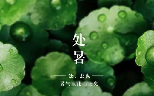 處暑祝福語簡短精選2021 2021處暑適合發(fā)朋友圈的句子大全