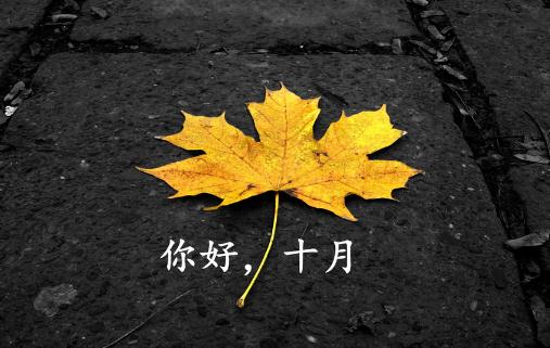 2021年十月第二天早上好的朋友圈文案 10月第二天早上好祝福語
