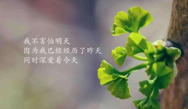 360截圖20211231135417491.jpg