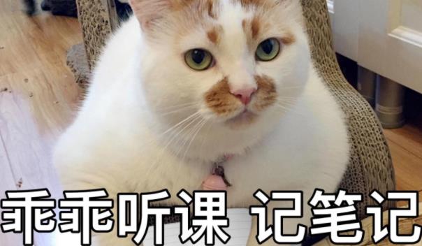 360截圖20220103204354225.jpg