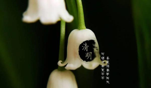 360截圖20220317212630759.jpg