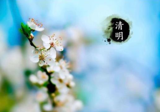 清明節掃墓要用鮮花好還是塑料花好?2021年清明節幾號遷墳好