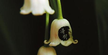 清明節上墳是前后十天嗎?清明節上墳單號去好還是雙號去好