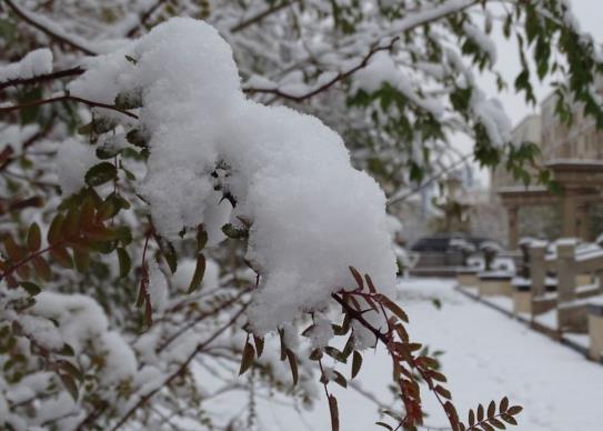 下雪后高速一般多久開(kāi)始通車(chē)?在高速上下雪了怎么辦