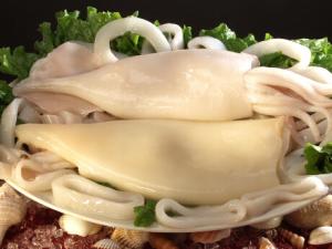 孕婦吃墨魚(yú)有什么好處？吃墨魚(yú)的做法