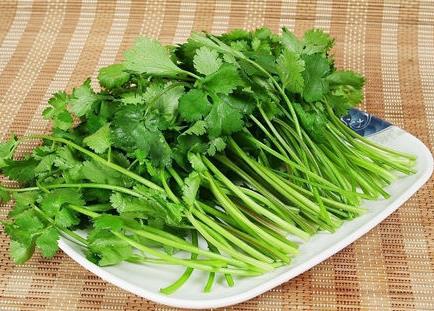 孕婦能不能吃香菜?孕婦可以吃香菜嗎