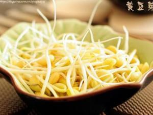 孕婦能吃黃豆芽嗎？孕婦吃黃豆芽的做法