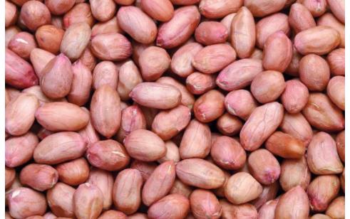孕中期應多吃哪些主食 孕中期吃什么主食最補鈣