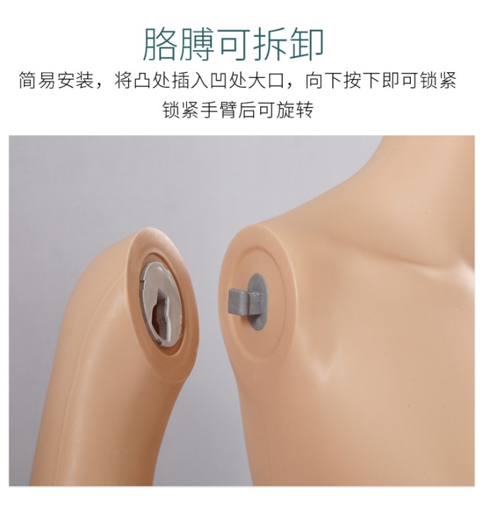 真奇服裝模特:打造簡約櫥窗,時尚的格調(diào)