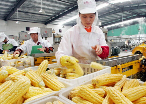 脫脂并不代表真健康-食品工業不為人知的秘密