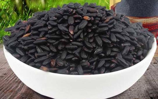 什么人不適合吃黑米?黑米的食用禁忌