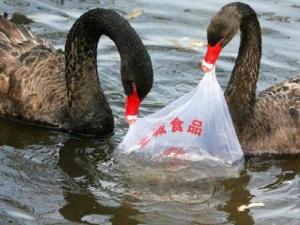 亂扔塑料袋對環境有什么危害
