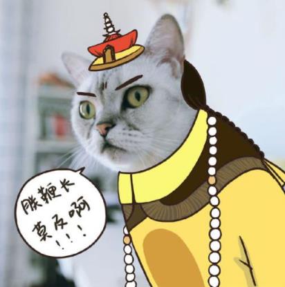 “鞭”長莫及是什么意思?鞭長莫及是什么梗?有什么內涵
