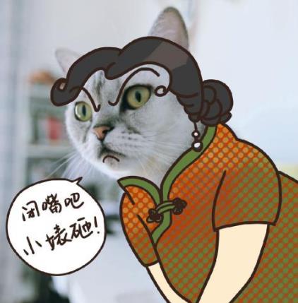 “鞭”長莫及是什么意思?鞭長莫及是什么梗?有什么內涵