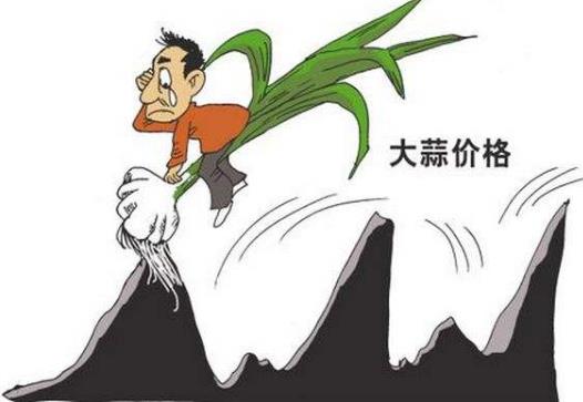 蒜你狠是什么意思?網(wǎng)絡(luò)用語蒜你狠的來源 大蒜漲價(jià)原因