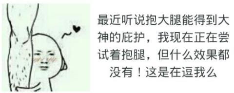 抱大腿是什么意思?抱大腿要趁早 抱大腿幽默回復 抱大腿表情包