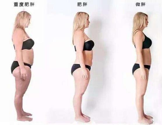 微胖是什么意思?男人都愛微胖女人?微胖是否是最好的身材