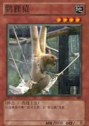 中國網絡十大神獸是什么意思?網絡十大神獸都是什么?神獸排行榜