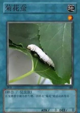 中國網絡十大神獸是什么意思?網絡十大神獸都是什么?神獸排行榜