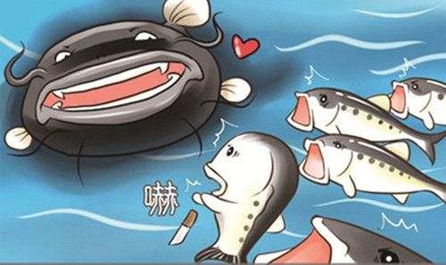 效應是什么意思?20個著名效應 78種經典效應定律大全
