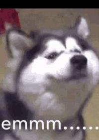 emmmm是什么意思?聊天中emmmm什么梗?網絡流行語emmmm表情包圖片