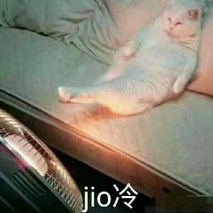 泡jio是什么意思什么梗?jio是哪個地方的方言 一起泡jio表情包