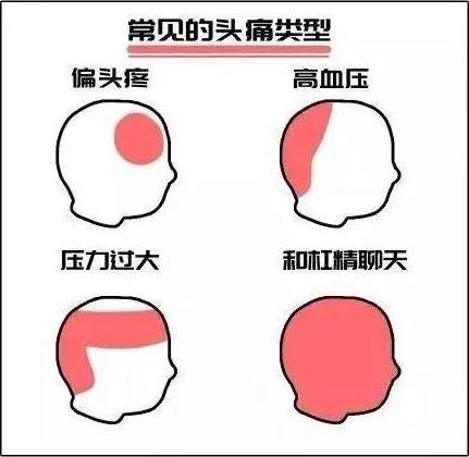 杠精是什么意思什么梗?杠精的特征表現 遇到杠精怎么辦如何應對