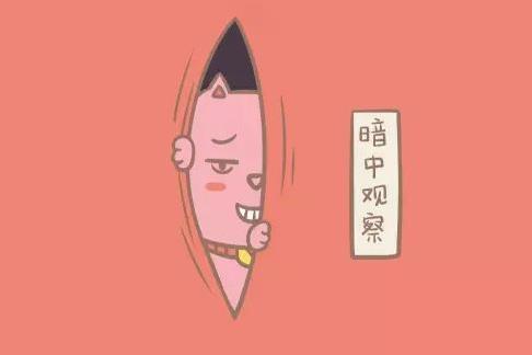 女生說13579是什么意思什么梗?男人說24816是什么意思?有什么污內涵