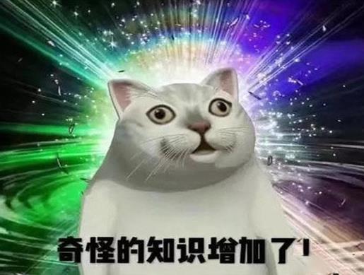 2020十大熱詞,擺攤事業興起,正道的光在抖音上火爆一時