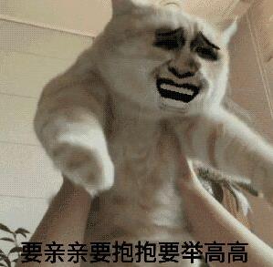 要親親要抱抱要舉高高是什么意思什么梗?直接上圖魔性表情包