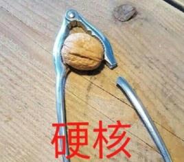 硬核是什么意思什么梗?2019年十大流行語之硬核相關段子及示例