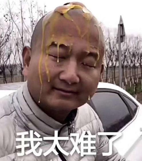 我太難/南了是什么意思什么梗？我太難/南了入選2019年十大流行語