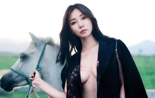 柳巖個人資料簡介 柳巖圖片 柳巖演過的電視劇 柳巖的胸有多大