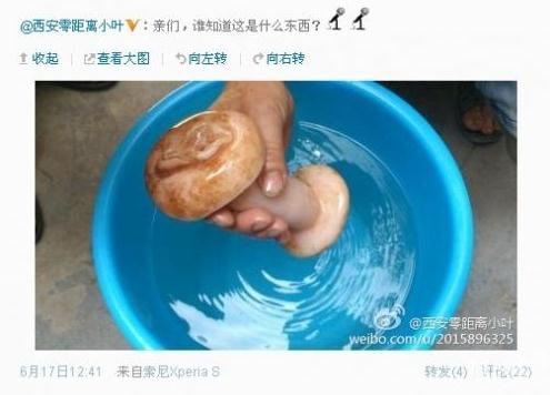 當事記者在微博上發問所謂的肉靈芝