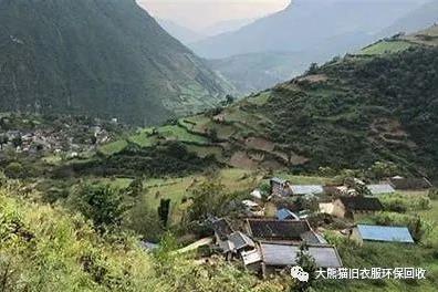 大熊貓在四川大涼山,這個我們不能落下的地方!大熊貓舊衣服回收