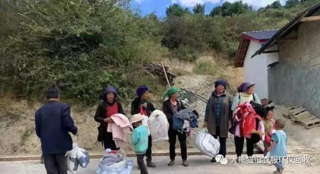 大熊貓在四川大涼山,這個我們不能落下的地方!大熊貓舊衣服回收