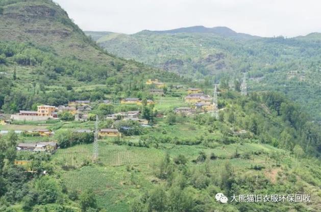 大熊貓在四川大涼山,這個我們不能落下的地方!大熊貓舊衣服回收