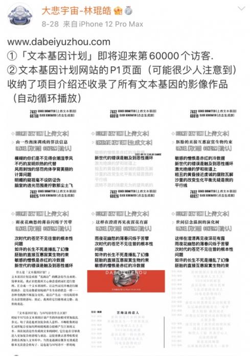 蘇富比 x 大悲宇宙作品「有詩(shī)的海灘」拍出140000美元