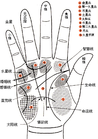 手相婚姻線(xiàn)圖解：從手相婚姻線(xiàn)看姻緣