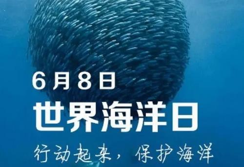 6月8日是什么節日？世界海洋日是幾月幾日