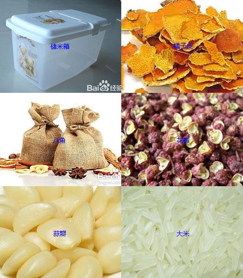 如何防止大米生蟲子？防止大米生蟲子的做法