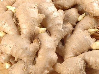 吃生姜的好處與壞處？為什么說(shuō)冬吃蘿卜夏吃姜