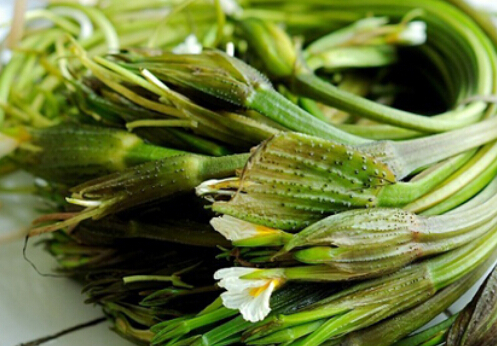 常吃海菜碘會過量嗎？海菜的功效
