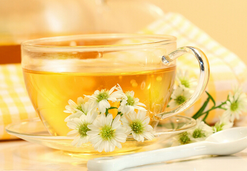 兒童不要喝菊花茶-什么人不可以喝菊花茶？