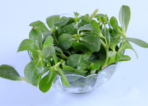 涼拌菜怎么吃才健康？吃涼拌菜最好放抗菌菜